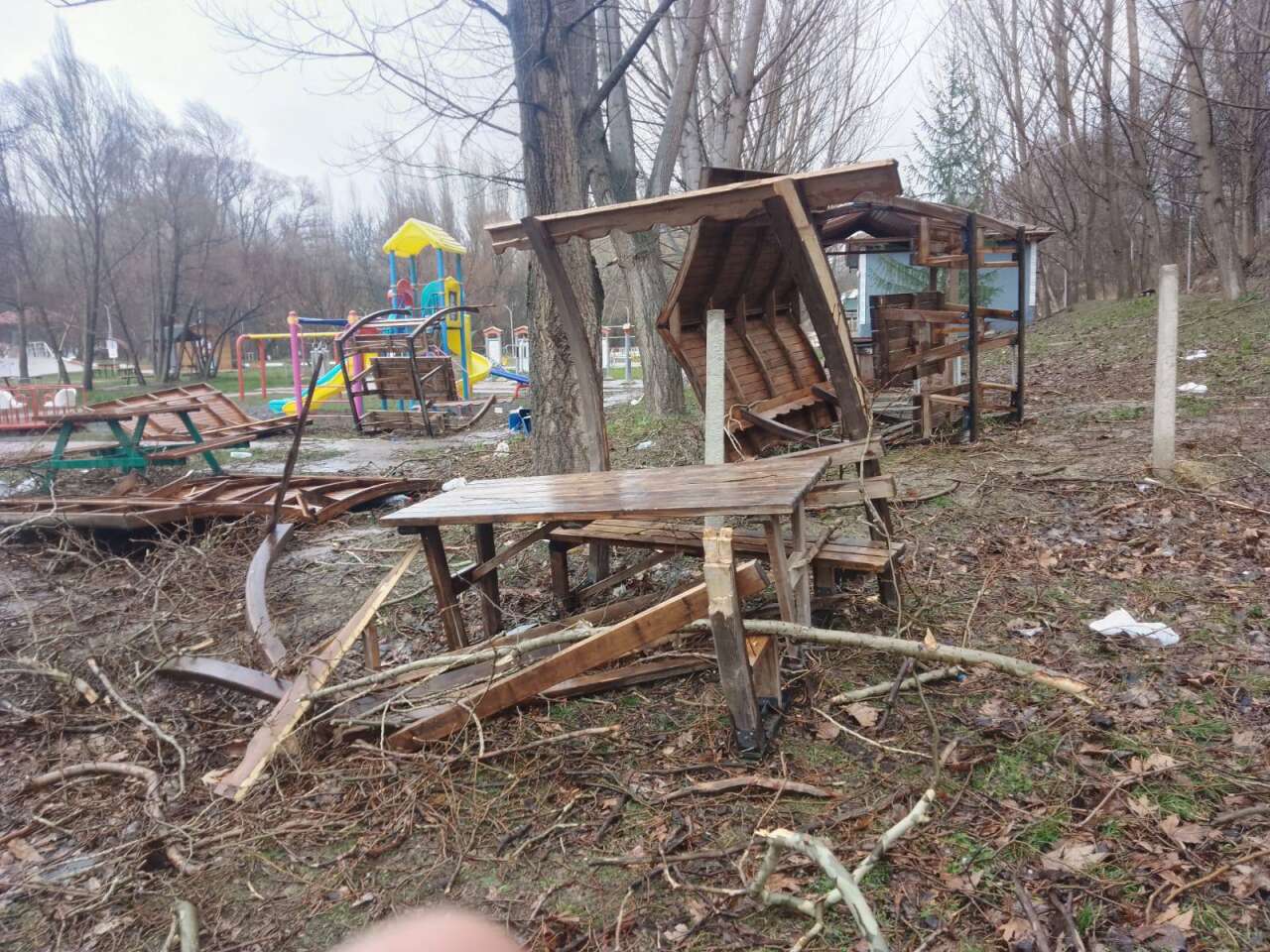 Konya’da 500 yıllık çınar ağacı rüzgara dayanamadı 2